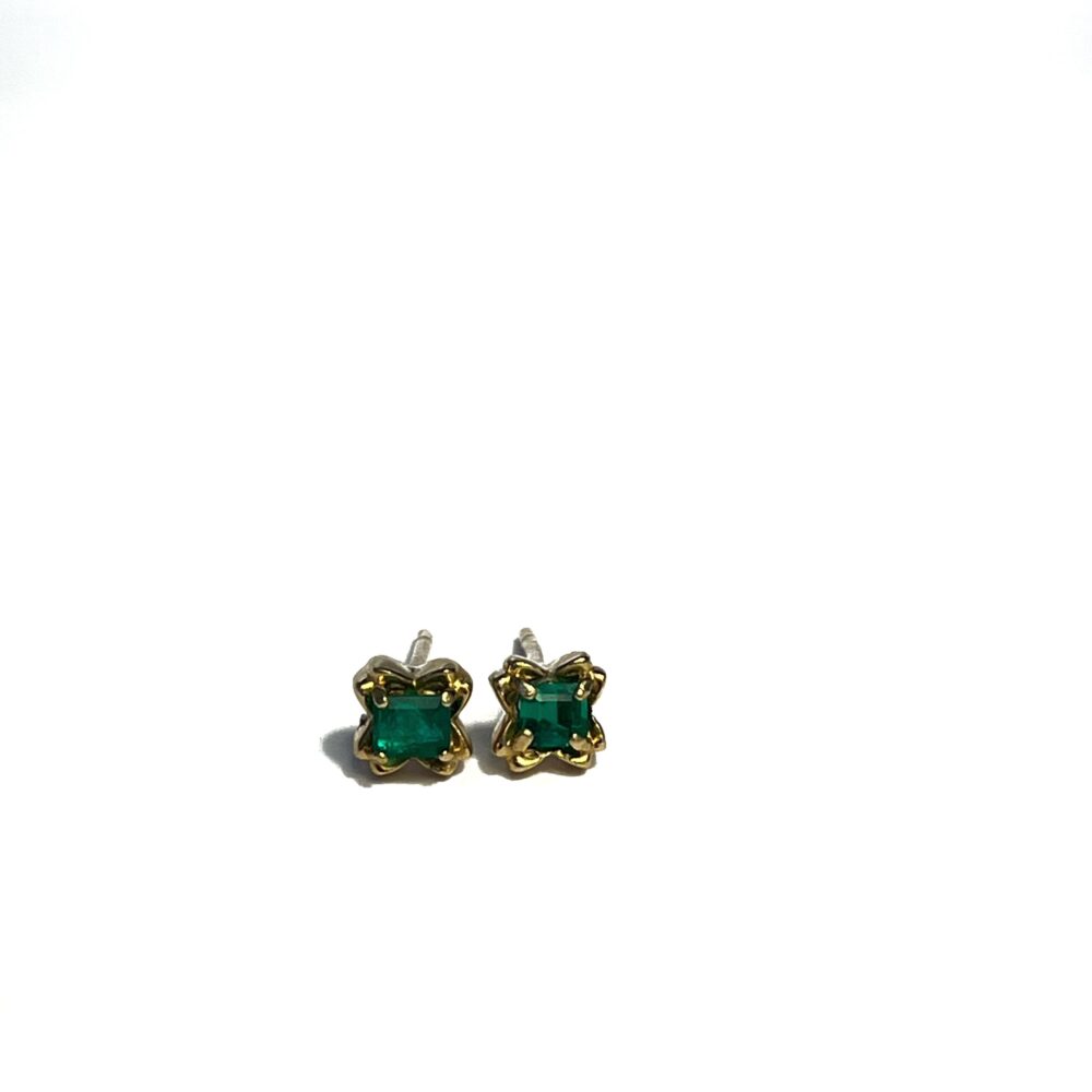 Aretes Cuadrados Bordeados
